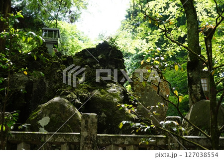 神奈川県南足柄市の大雄山最乗寺の風景 127038554