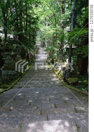 神奈川県南足柄市の大雄山最乗寺の風景 127038556