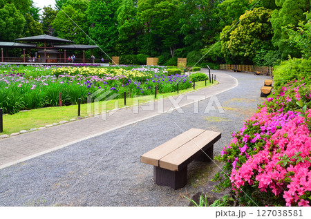 城北菖蒲園の風景（大阪市旭区） 127038581