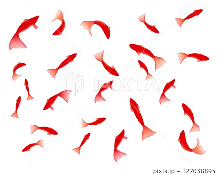 金魚の背景 127038895