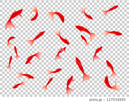 金魚の背景 127038895