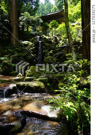 神奈川県南足柄市の大雄山最乗寺の洗心の滝の風景 127039275