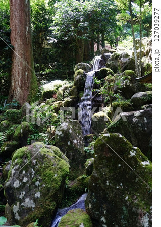 神奈川県南足柄市の大雄山最乗寺の洗心の滝の風景 神奈川県南足柄市の大雄山最乗寺の洗心の滝の風景 127039277