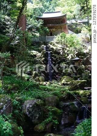 神奈川県南足柄市の大雄山最乗寺の洗心の滝の風景 127039278