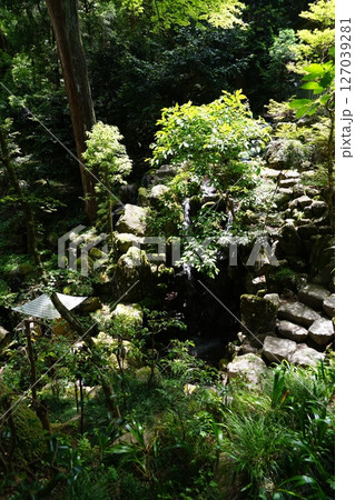 神奈川県南足柄市の大雄山最乗寺の洗心の滝の風景 127039281