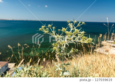 The Church of the Iveron Icon of the Mother of God 127039619