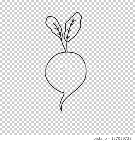 A white vegetable with a green stem 127039728