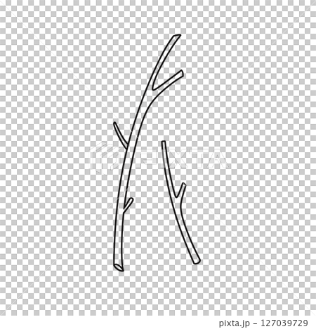 Two thin branches are shown in a white background 127039729