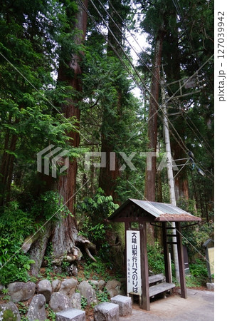 神奈川県南足柄市の大雄山最乗寺の道了尊バス停の風景 127039942