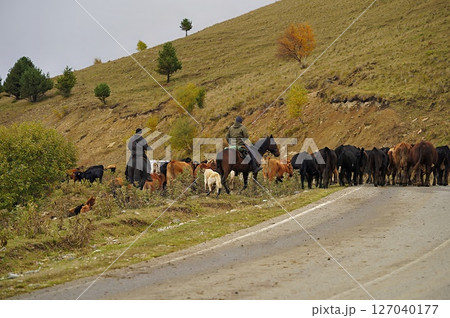 The shepherd in the mountains The shepherd in the mountains 127040177