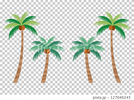 熱帶度假村棕櫚樹插圖 127040245