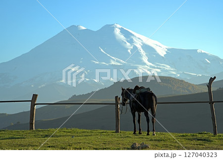 Mount Elbrus volcano 127040323
