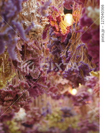 スターチスの花のドライフラワー スターチスの花のドライフラワー 127040366