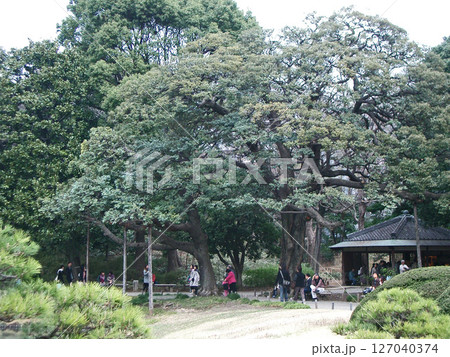 六義園の休憩所(東京都文京区) 六義園の休憩所(東京都文京区) 127040374