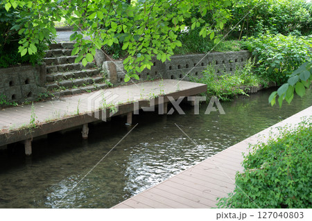 二ヶ領用水梅雨景色 二ヶ領用水梅雨景色 127040803