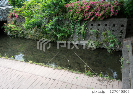 二ヶ領用水梅雨景色 二ヶ領用水梅雨景色 127040805