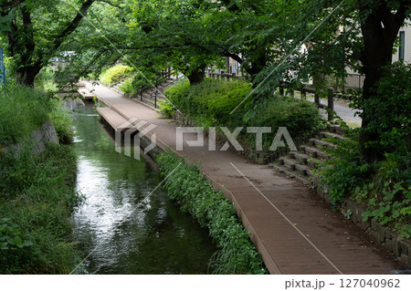 二ヶ領用水梅雨景色 127040962