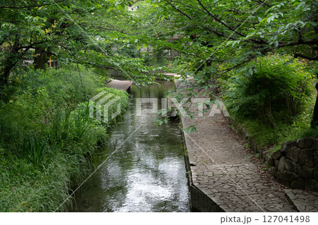 二ヶ領用水梅雨景色 127041498