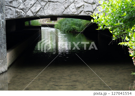 二ヶ領用水梅雨景色 二ヶ領用水梅雨景色 127041554