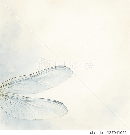 余白のあるトンボの羽の水彩イラスト素材 余白のあるトンボの羽の水彩イラスト素材 127041632