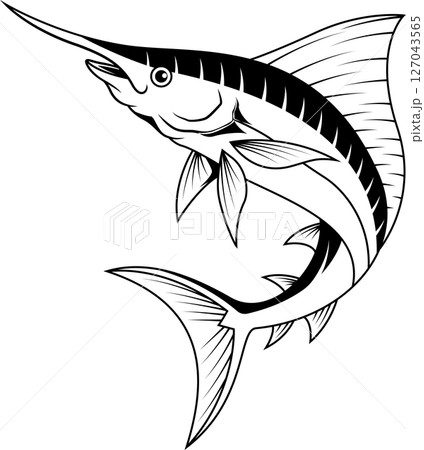 Marlin fish cartoon line art Marlin fish cartoon line art 127043565