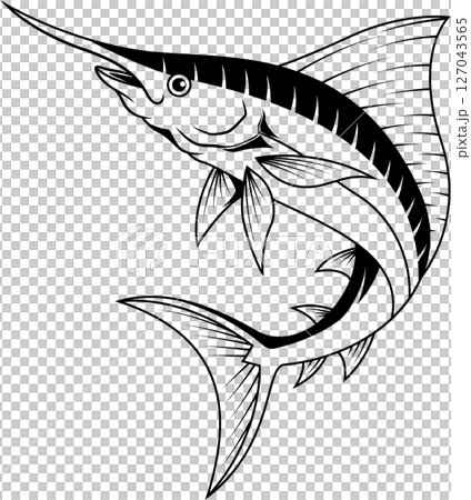 Marlin fish cartoon line art Marlin fish cartoon line art 127043565