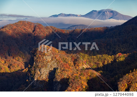 紅葉の西上州・立岩から見る浅間山 127044098