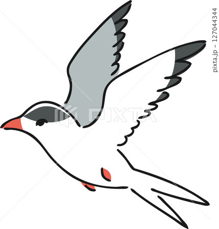 手描きのアジサシのイラスト 127044344