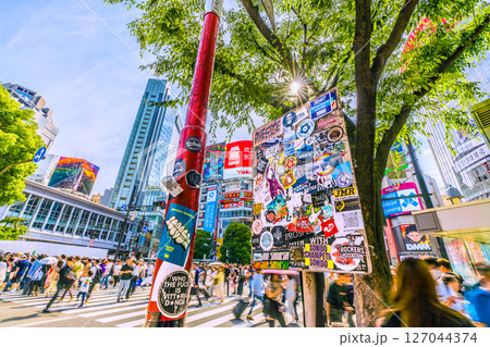 日本の東京都市景観 インバウンド続く…外国人観光客らで賑わう渋谷や木漏れ日…ステッカーなども増加 日本の東京都市景観 インバウンド続く…外国人観光客らで賑わう渋谷や木漏れ日…ステッカーなども増加 127044374