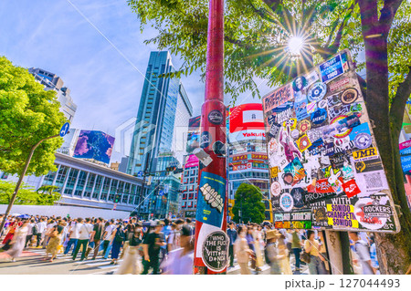 日本の東京都市景観 インバウンド続く…外国人観光客らで賑わう渋谷や木漏れ日…ステッカーなども増加 日本の東京都市景観 インバウンド続く…外国人観光客らで賑わう渋谷や木漏れ日…ステッカーなども増加 127044493