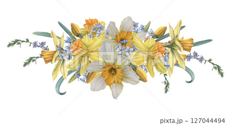 Spring daffodils, forget-me-nots, buds and leaves. Hand drawn watercolor illustration of narcissus flowers on isolated background. Botanical arrangement for cards, invitations, branding, flower shop Spring daffodils, forget-me-nots, buds and leaves. Hand drawn watercolor illustration of narcissus flowers on isolated background. Botanical arrangement for cards, invitations, branding, flower shop 127044494