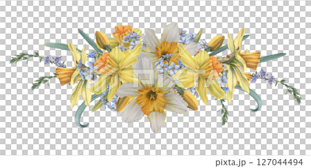 Spring daffodils, forget-me-nots, buds and leaves. Hand drawn watercolor illustration of narcissus flowers on isolated background. Botanical arrangement for cards, invitations, branding, flower shop Spring daffodils, forget-me-nots, buds and leaves. Hand drawn watercolor illustration of narcissus flowers on isolated background. Botanical arrangement for cards, invitations, branding, flower shop 127044494