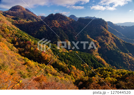 西上州・立岩稜線から見る紅葉の山並み 127044520