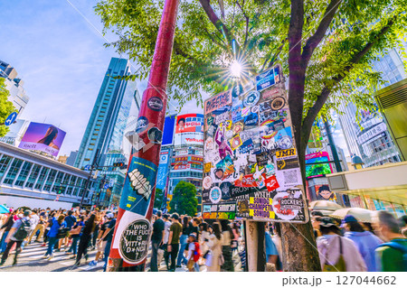 日本の東京都市景観 インバウンド続く…外国人観光客らで賑わう渋谷や木漏れ日…ステッカーなども増加 日本の東京都市景観 インバウンド続く…外国人観光客らで賑わう渋谷や木漏れ日…ステッカーなども増加 127044662
