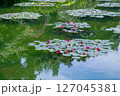 モネの庭のような風景　池に浮かぶ睡蓮 127045381