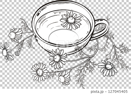 Cup of Chamomile Tea Outline Illustration. Cup of Chamomile Tea Outline Illustration. 127045405
