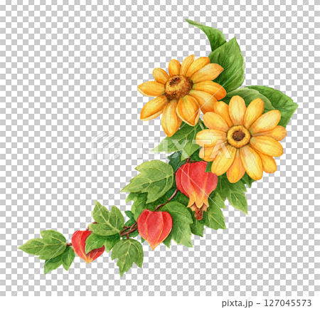 Abuchiron twig with yellow helianthus flower summer arrangement. Hand drawn watercolor botanical art. Vacation vibe graphic element. Perfect for vibrant card template and holiday season design. 127045573