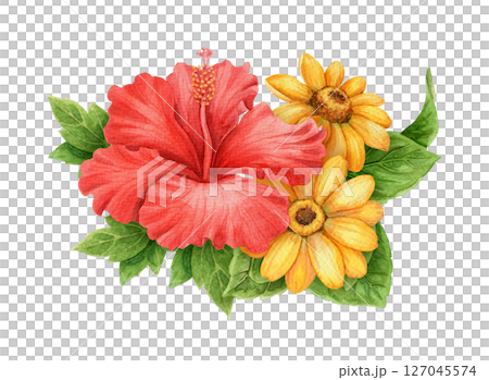 Red Hibiscus flower and sunflower bouquet arrangement. Hand drawn watercolor art with floral and leaf. Vacation vibe graphic element. Perfect for summer card templates and holiday season design. 127045574