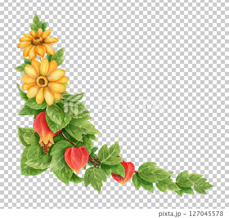 Abuchiron twig with yellow helianthus flower summer corner arrangement. Hand drawn watercolor botanical art. Floral graphic element perfect for botanical card template and holiday season design. 127045578