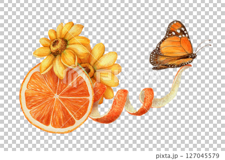 Monarch butterfly with orange and yellow flower arrangement. Hand drawn watercolor food illustration. Citrus image with realistic texture. Perfect for summer card template and cute sticker design. 127045579