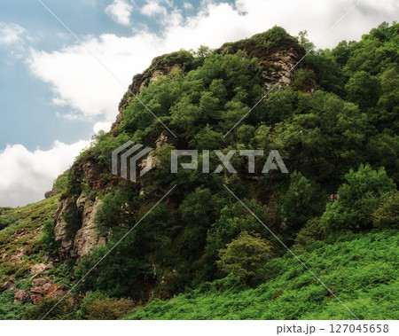 A view of the lower peak of Strickeen mountain covered in trees, shrubs, and ferns. The peak is rocky, with green foliage covering most of its surface under a cloudy sky in Ireland. A view of the lower peak of Strickeen mountain covered in trees, shrubs, and ferns. The peak is rocky, with green foliage covering most of its surface under a cloudy sky in Ireland. 127045658