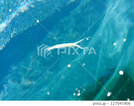 バイカル湖 青い氷 バイカル湖 青い氷 127045906