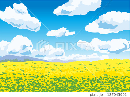 夏空の花畑のある風景 夏空の花畑のある風景 127045991