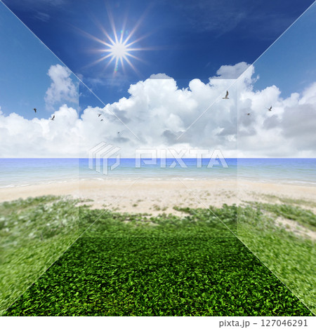 入道雲と緑の砂浜、太陽の青空ボックス 127046291