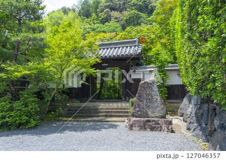 善法律寺　青紅葉に包まれた表門 127046357