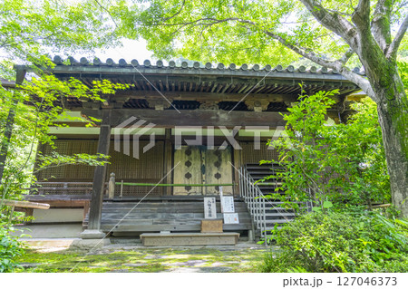善法律寺　青紅葉に包まれた本堂 127046373