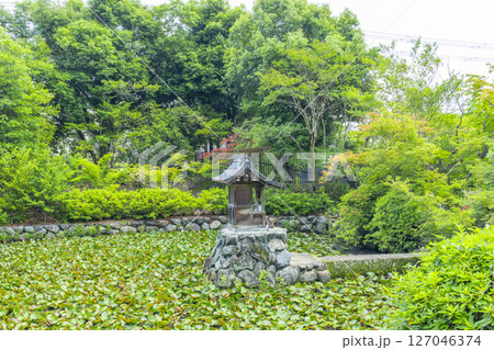 善法律寺 放生池 善法律寺 放生池 127046374