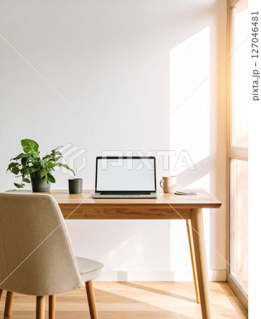 リビングの在宅ワーク　おしゃれなテレワークのイメージ背景素材 127046481