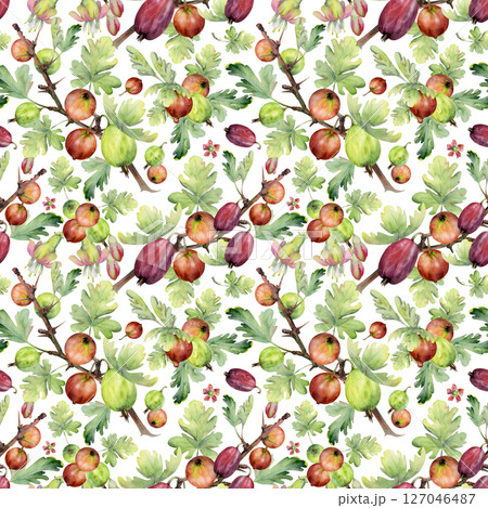 Gooseberry Currant garden berry with leaves flowers hanging on spiked thorny branches hand drawn in watercolor. Isolated seamless pattern tile. Craft drinks, grocery, background wallpaper, packaging 127046487