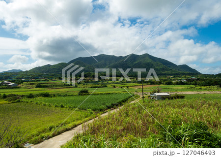 日本の鹿児島県の徳之島の美しい風景 127046493